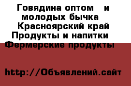 Говядина оптом 3-и молодых бычка - Красноярский край Продукты и напитки » Фермерские продукты   